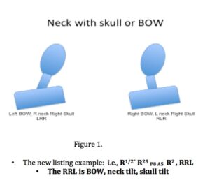 Putting the Neck Before the Head