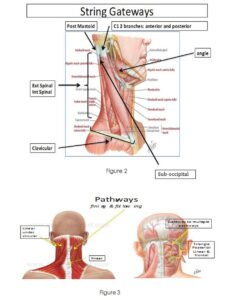 Postural String Theory